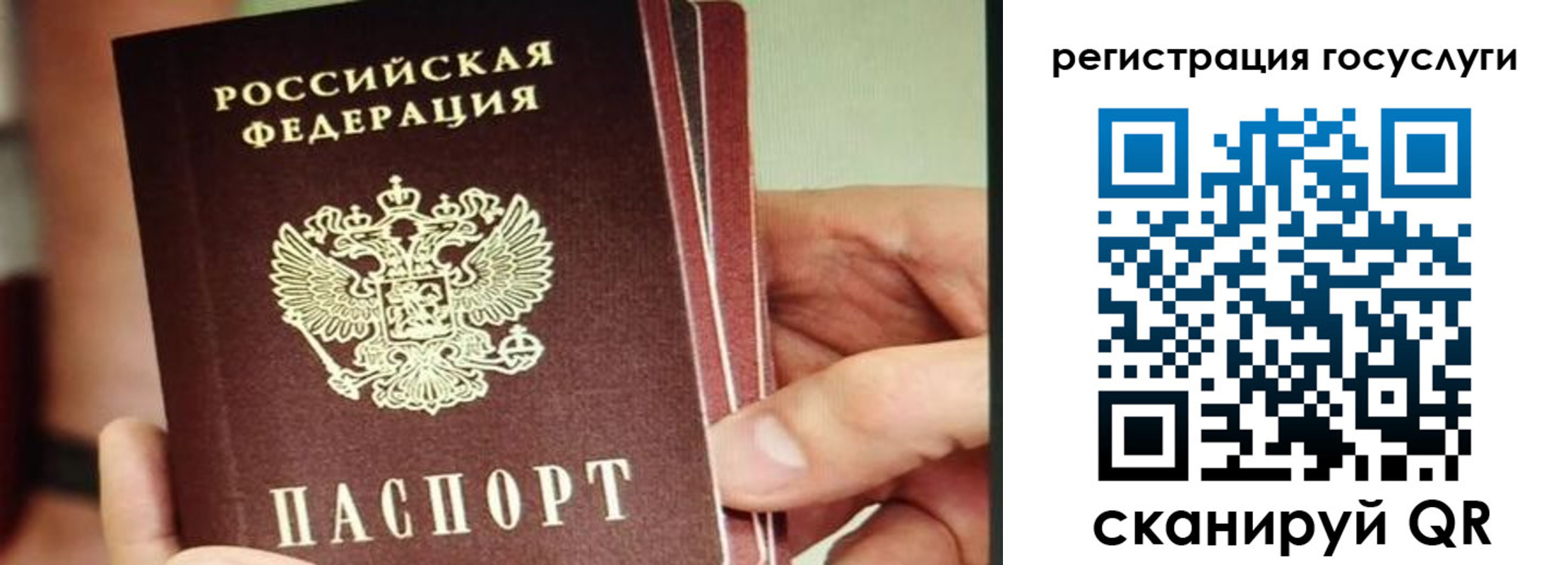 временная регистрация собственник в Пионерском